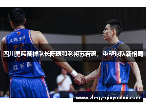 四川男篮裁掉队长陈辰和老将苏若禹，重塑球队新格局