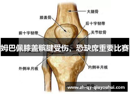 姆巴佩膝盖髌腱受伤，恐缺席重要比赛